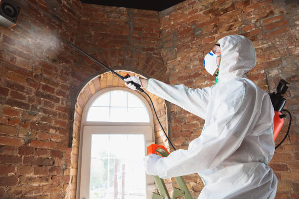 Best Forensic Mold Investigation in Altoona, IA